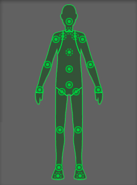 Unity 的 Avatar 结构